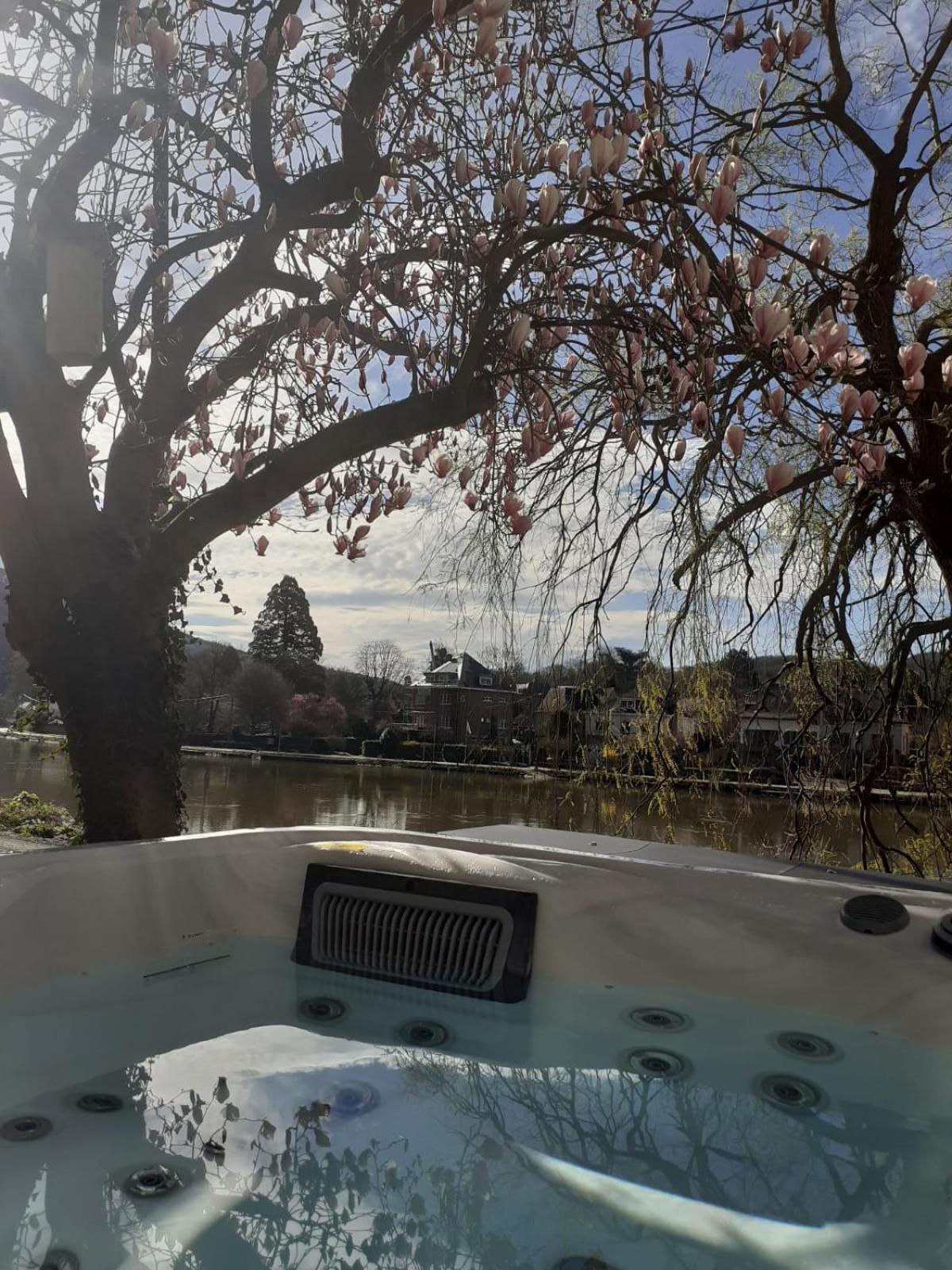 Pieds Dans L'Eau Private Wellness Bordure De Meuse Villa Lustin Exterior foto